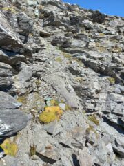 Passaggio delicato_2