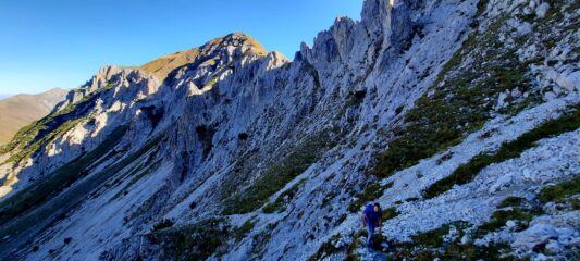 Sulla traccia che sale diretta verso il Chiamossero