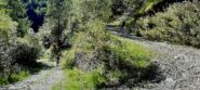 Risalendo il vallone del Tibert