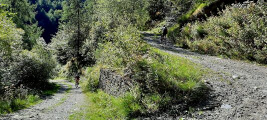 Risalendo il vallone del Tibert