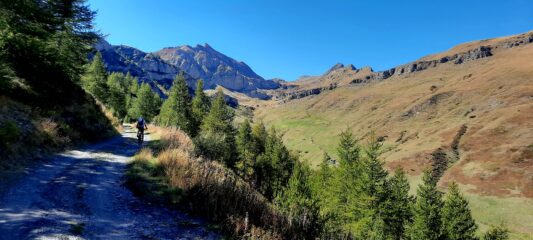Percorso molto bello nella parte alta della salita