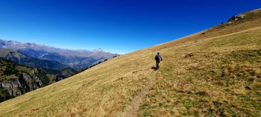 Traverso sotto la Cernauda