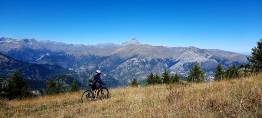 Il Re sorveglia