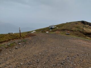 Luogo della morsicatura! Massima cautela anche se le pecore si spostano di zona continuamente.