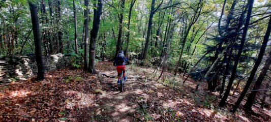 Black lunedì discesa Basin