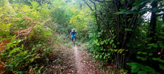 Discesa anello delle Borgate