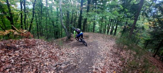 Ancora anello delle Borgate parte bassa