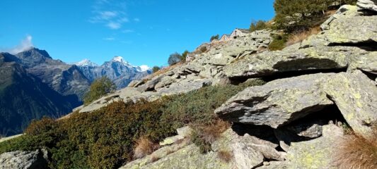 Alpe Combe