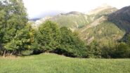 dall'alpe Selletta