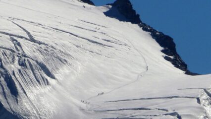 Cordate sul ghiacciaio del Gr. Paradiso
