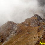 Turra visto dal Coin