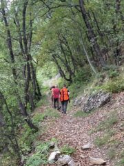 Ettore cinghiale trascinato nella polvere
