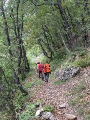 Ettore cinghiale trascinato nella polvere