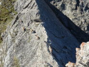 Stambecchi sul rasoir