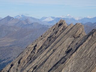 oltre la Taillante, il Bianco