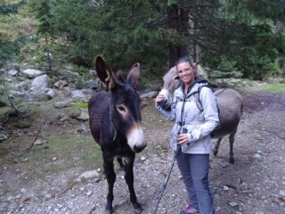 incontri...