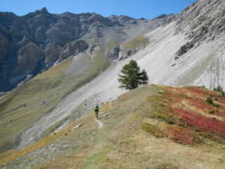 verso il bivio per il Lago di Desertes