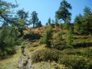 discesa verso il Pian de la Selle