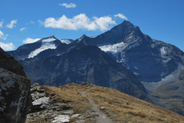 Tutto-Grivola dalla Pointe de la Pierre