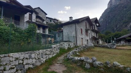 Codera