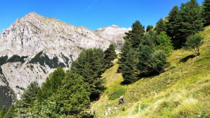 Davvero un bellissimo ambiente!