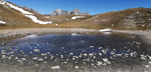 Laghetto quasi asciutto al colle
