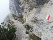 La cengia attrezzata che si percorre durante l'avvicinamento 