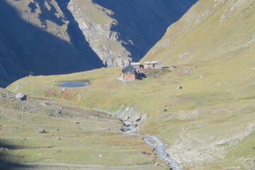 il Bezzi
