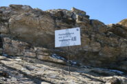 la cima