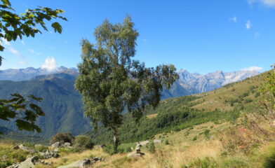 Poco oltre il bivio,  Ciavanis-Colle della Paglia