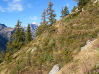 Sentiero Motti