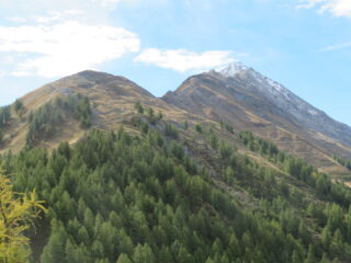 M. Paillasse e Chamoussiere