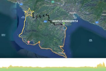 piantina wikilock