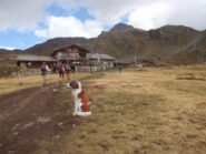 Rifugio Mont Fallère