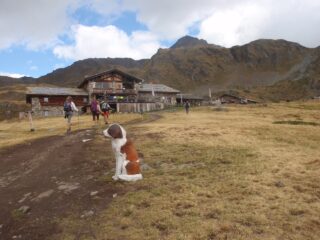 Rifugio Mont Fallère