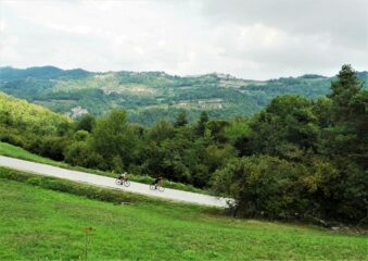 La belissima discesa verso Cerreto Langhe.