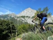 Il Bersaio sopra il bosco.
