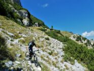 Nella parte alta sotto il col del Prel.