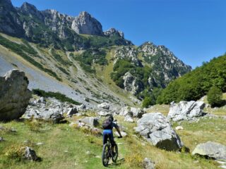 Nel pianoro prima del bosco.