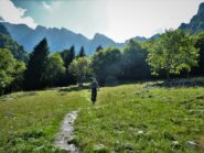 Fuori dal bosco, prima dell'innesto con il sentiero x il rifugio.