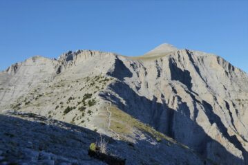 Dorsale di discesa