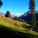 Nei pressi del tornante da cui dovrebbe iniziare il sentiero 1F.