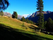 Nei pressi del tornante da cui dovrebbe iniziare il sentiero 1F.