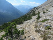 Versante Sud tra i pini mughi