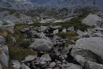 Praticamente alle sorgenti dell’Elvo, salendo verso la Bocchetta del Lago