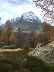Il Leone da Pian Stalaregno
