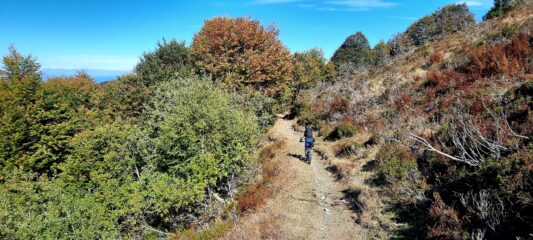 Lo splendido singe track sotto la Robert