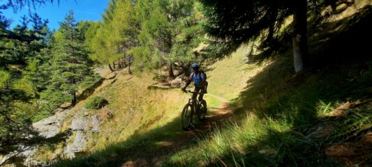 Traverso verso colle Bettone