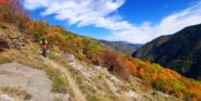 Colori pienamente autunnali verso Vignali