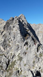 la cresta ora piglia slancio..